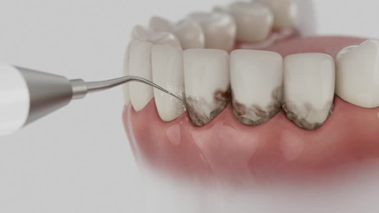 Reliable Dental contractor in Woodbranch, TX by Dentist Open Now
